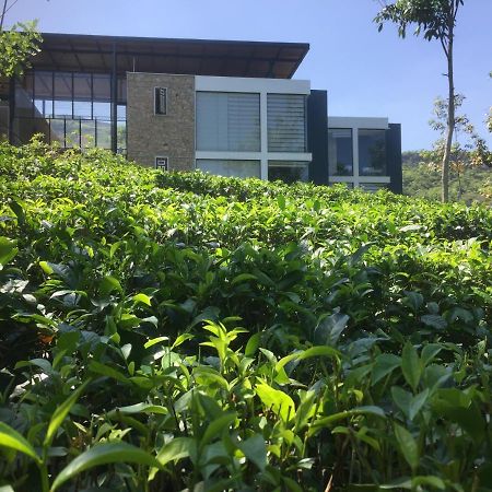 Thannapita Estate Bangalow Kitulgala Exterior photo