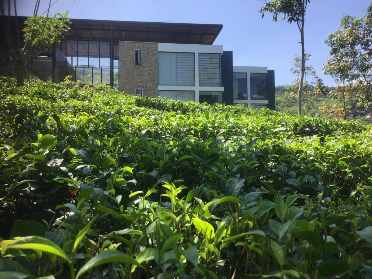 Thannapita Estate Bangalow Kitulgala Exterior photo