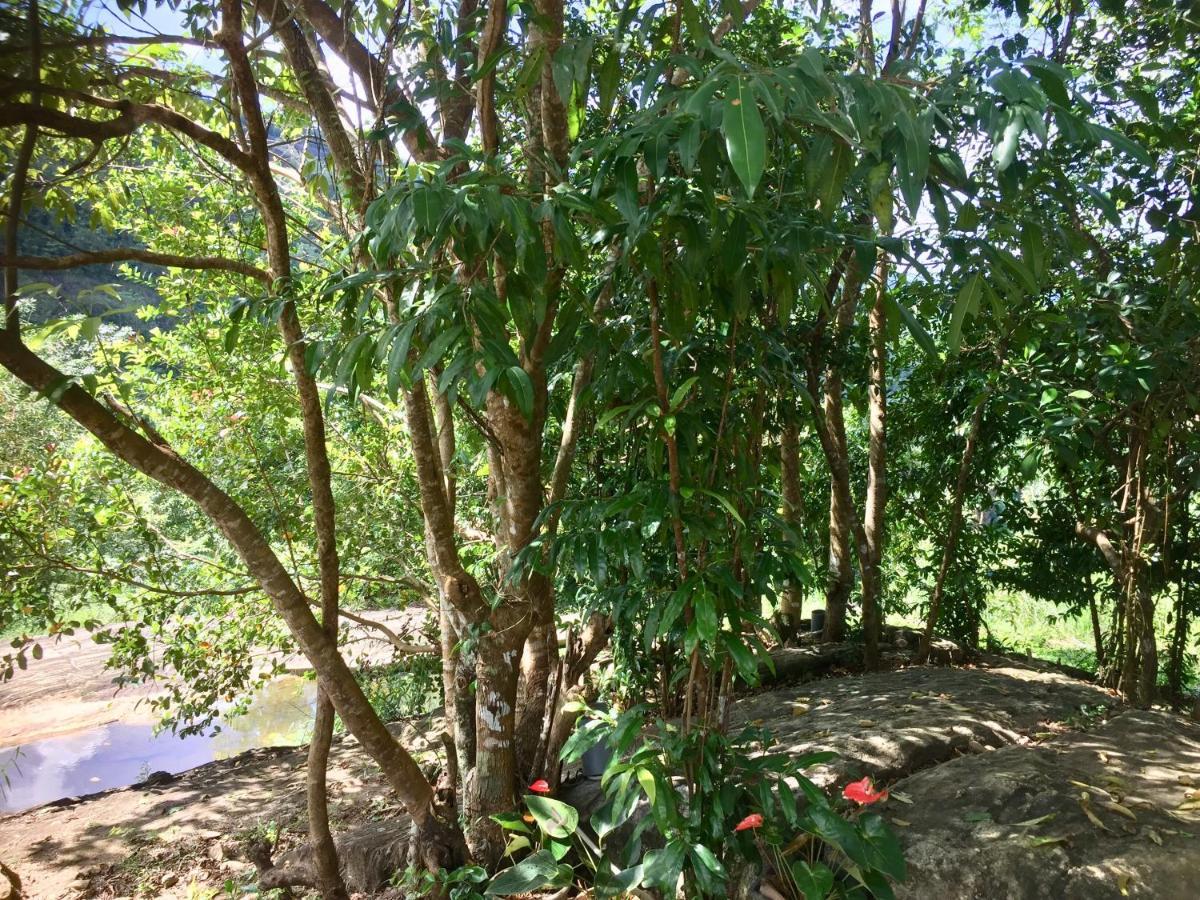 Thannapita Estate Bangalow Kitulgala Exterior photo