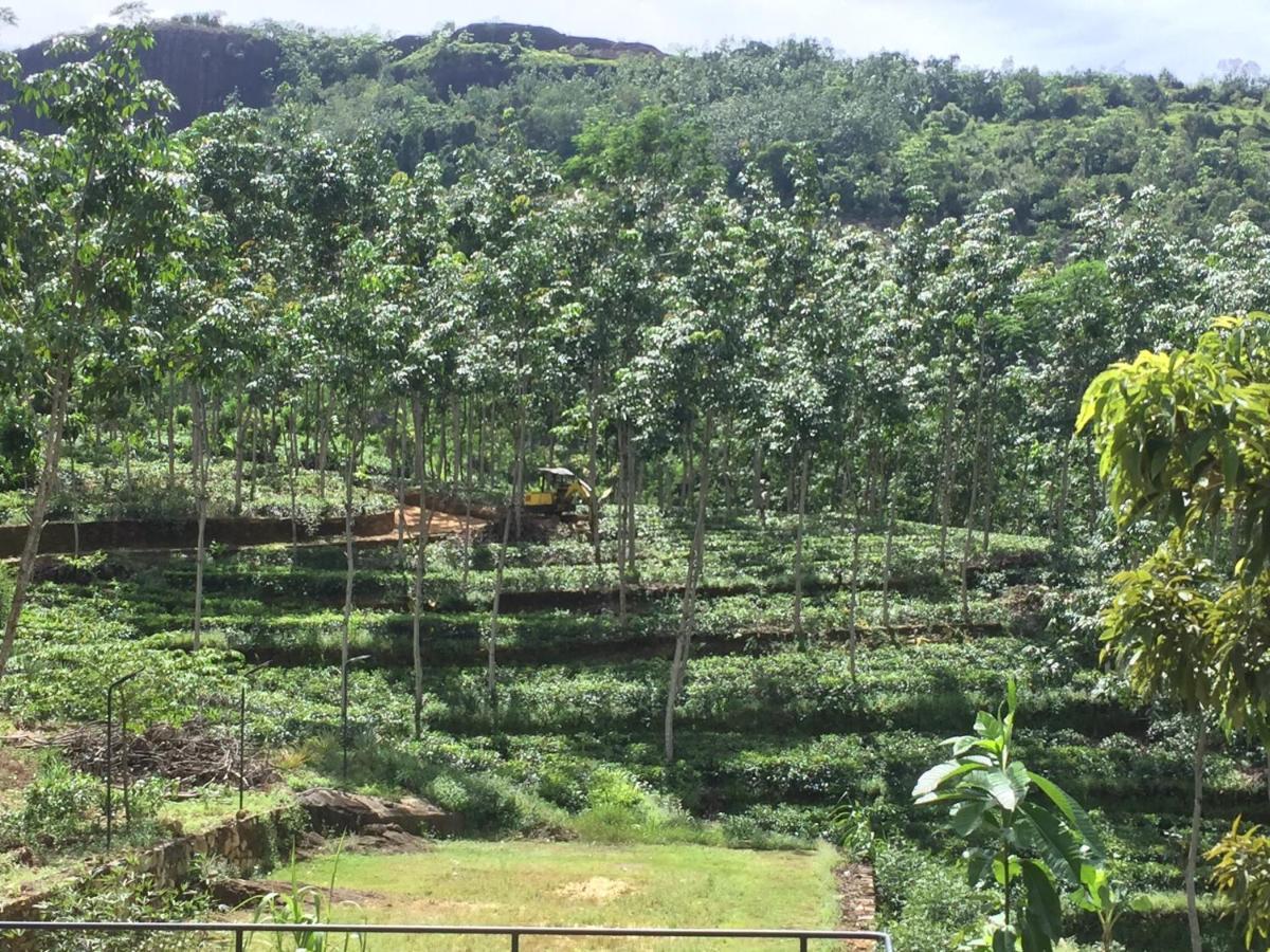 Thannapita Estate Bangalow Kitulgala Exterior photo